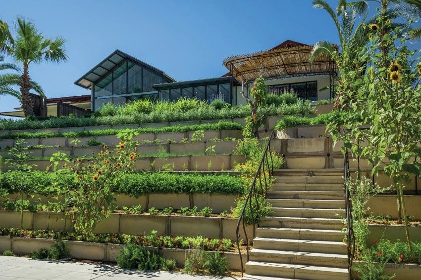 Resort with Tiered planting in Mexico.
