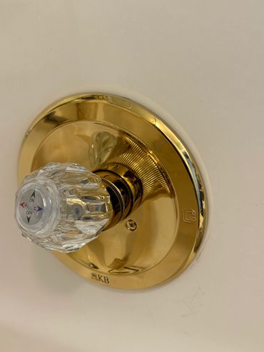 Premium shower faucet trim replacement.