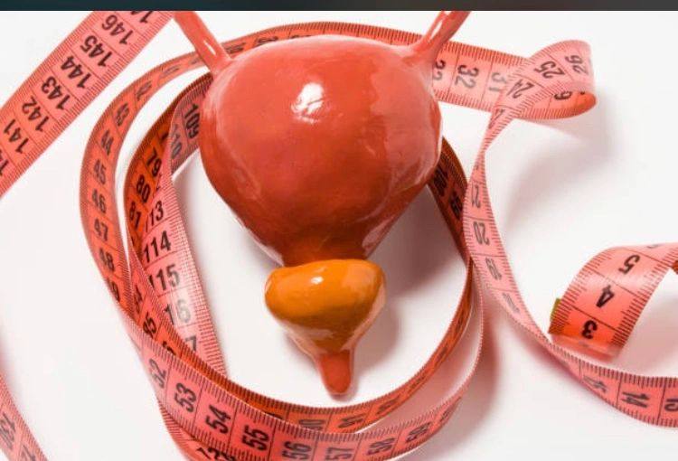 سرطان البروستات ، تشخيص سرطان البروستات خزعة البروستات  سرطان البروستات ، تشخيص سرطان البروستات خزعة البروستات