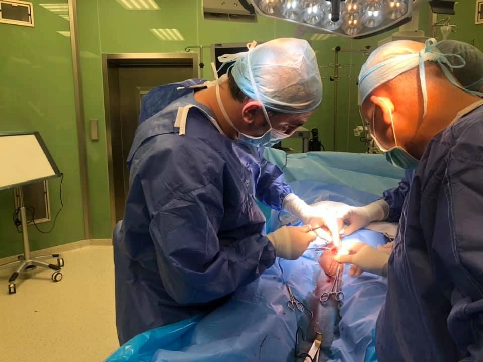 كيف تتم زراعة دعامة القضيب كيف تتم زراعة دعامة القضيب