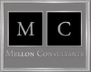  An Executive Management and Financial Consulting Firm 