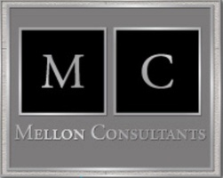  An Executive Management and Financial Consulting Firm 