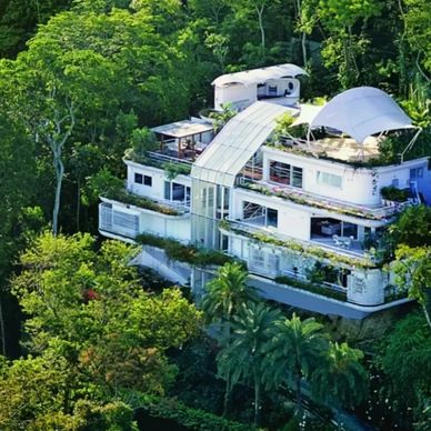 Modern multi-level house surrounded by lush greenery.