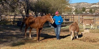 Sharon with her mare Kahlua and the mini donkeys Oberon and Zel