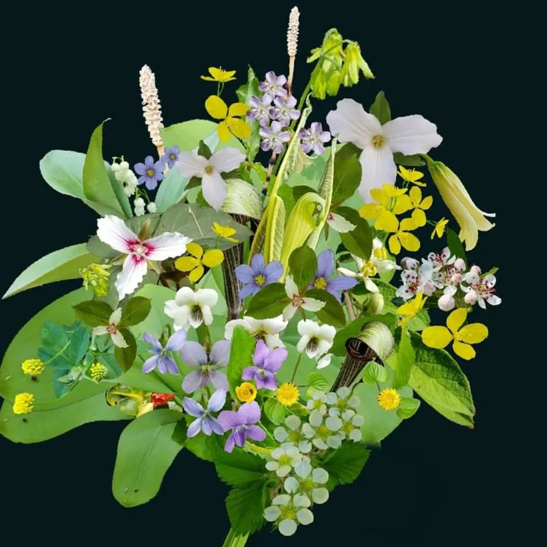 Terrene Garden Shop terrene-garden-shop