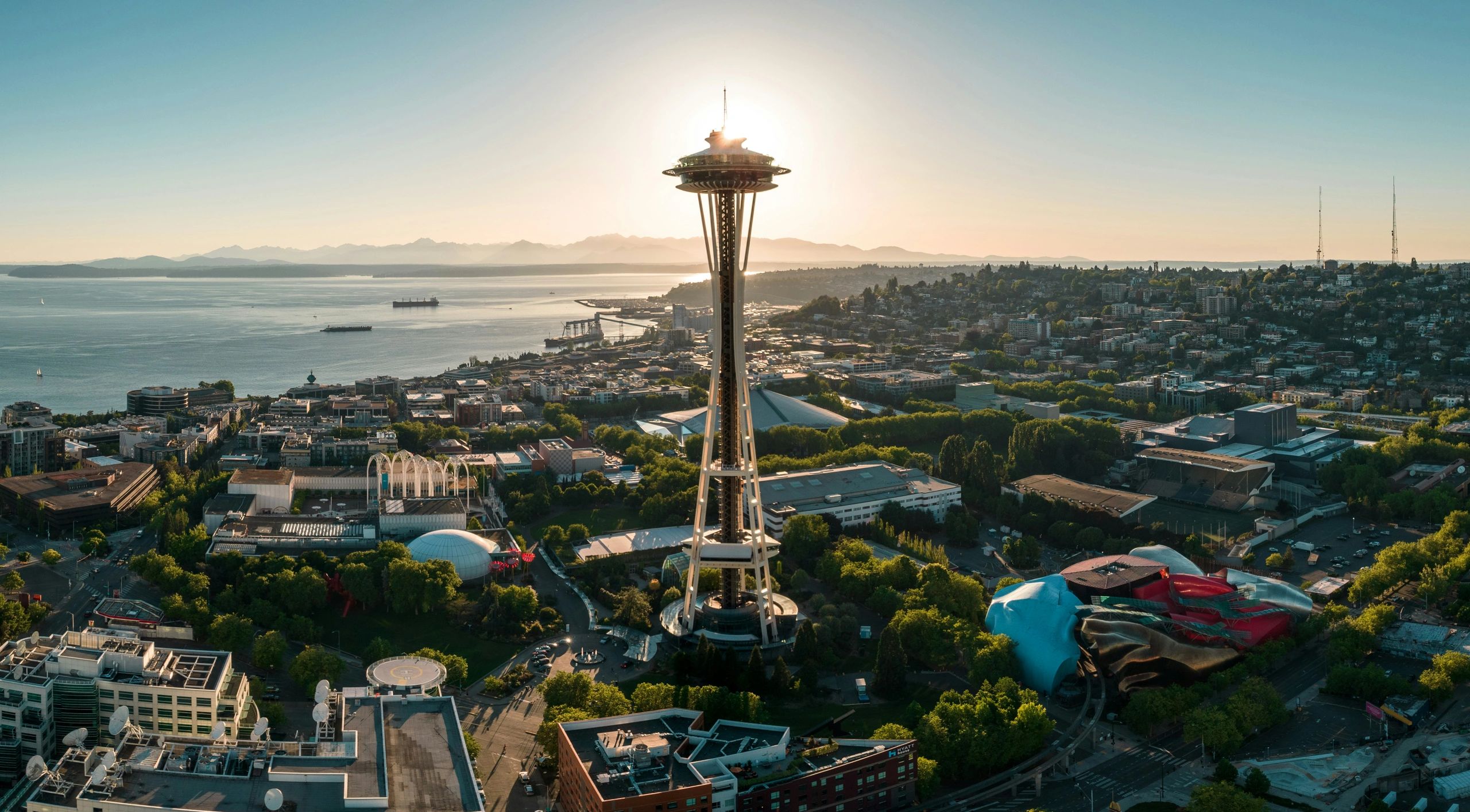 Morgan Ritchie Nintendo Seattle Seattle Philanthropic Advisors Network