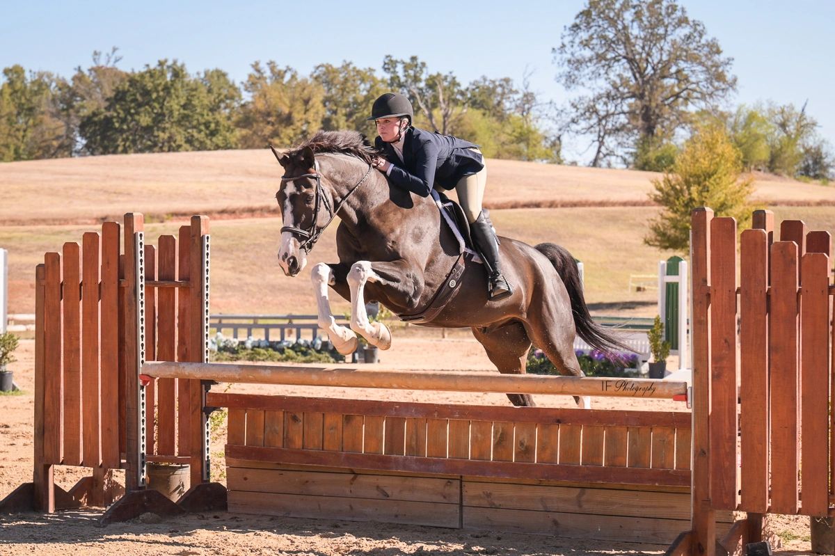 Rosepoint Sporthorses: Horse Riding School & Boarding Stables