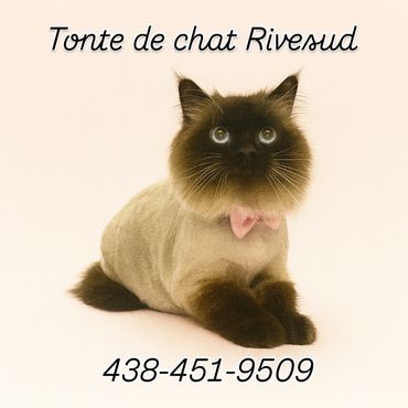 Chat avec une tonte renard 