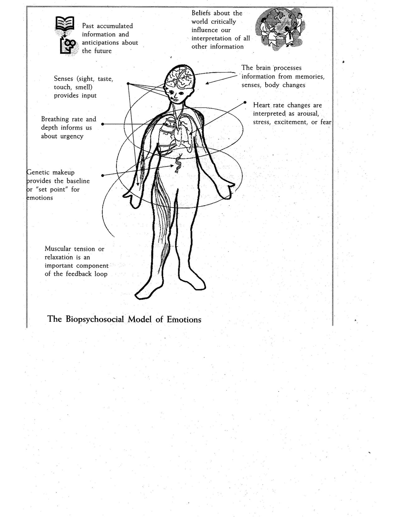 The Biopsychosocial Model of Emotions