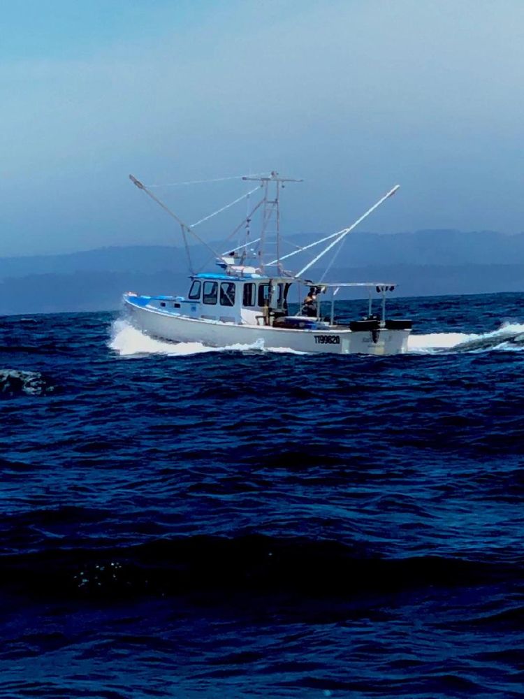 Commercial salmon fishing boat