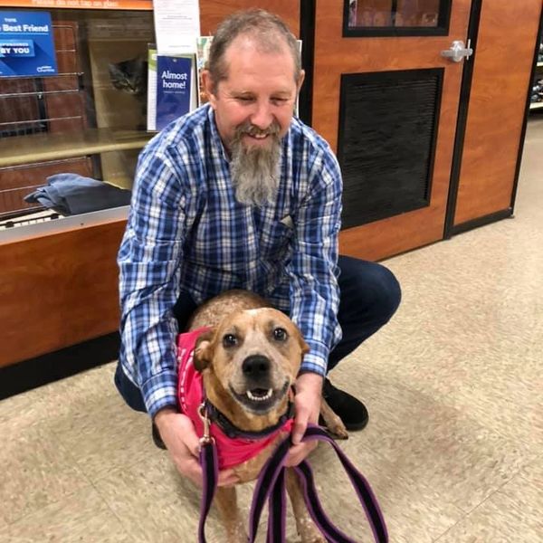 Smiling man crouches with happy dog wearing a pink bandana indoors.