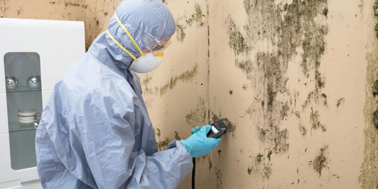 A man in PPE taking moisture readings