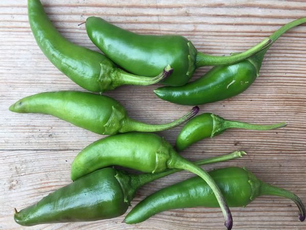 Home Grown chillis