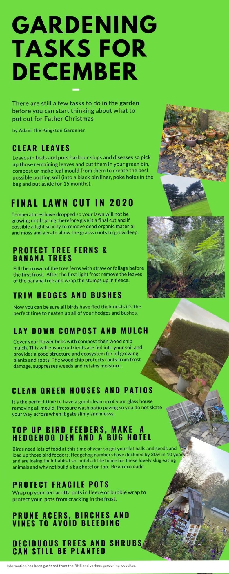 December Gardening Tasks