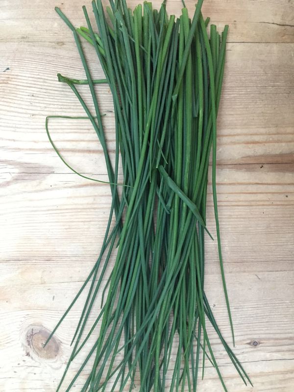 home grown chives