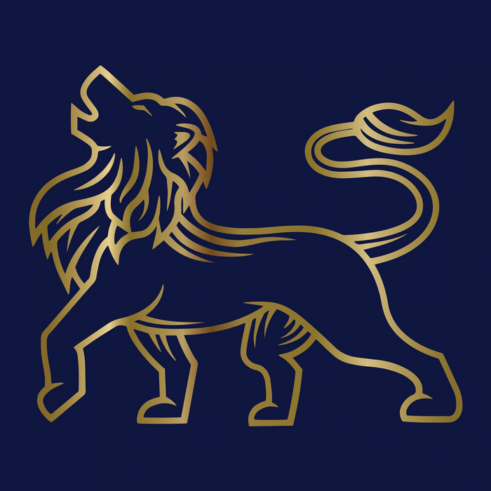 The Credit Lion is the best credit repair company in Las Vegas