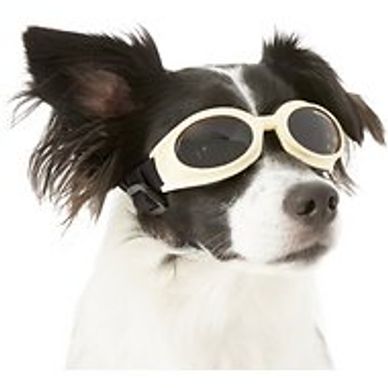 Small Dog Sunglasses Waterproof Windproof UV Protection 