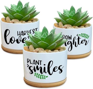 GROUNDED IN FAITH, ROOTED IN LOVE, GROWN BY GRACE WHITE SUCCULENT PLANTER SMALL PLANT POTS 