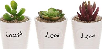 SET OF 3 WHITE CERAMIC RIBBED DESIGN LIVE LAUGH LOVE EXPRESSION SUCCULENT PLANT POT CONTAINERS