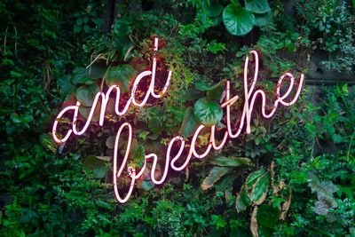 Marriage counseling in Cincinnati, Ohio. Improve communication skills and restore trust.