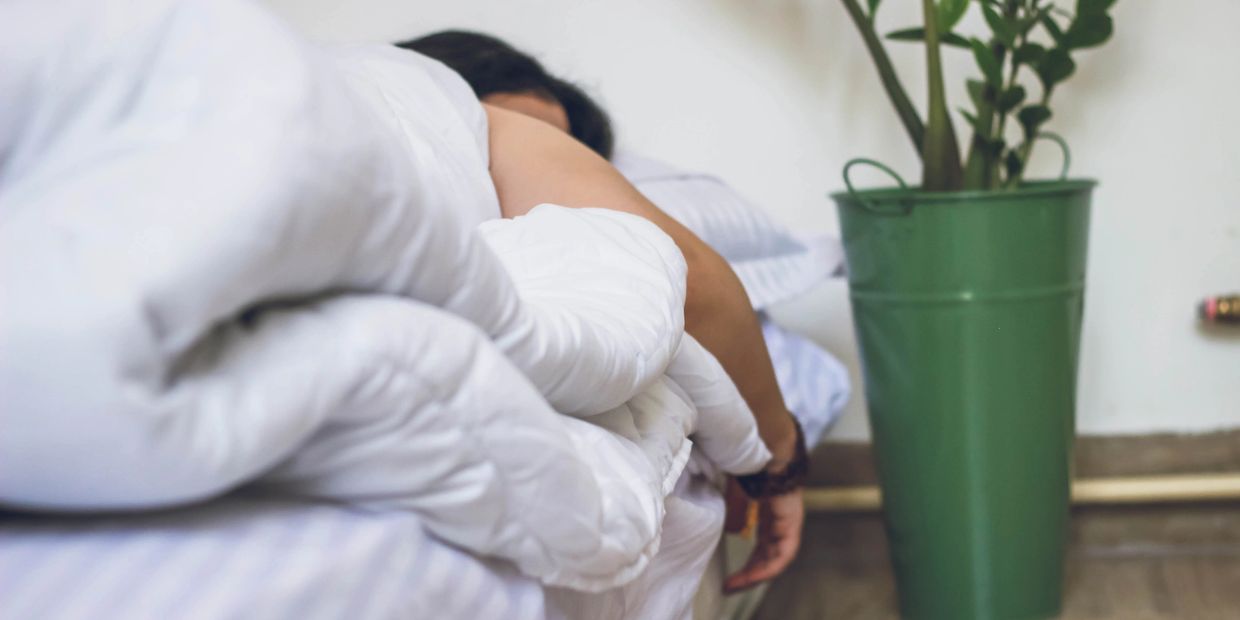 Person lying in bed with white blanket, next to a green plant pot.