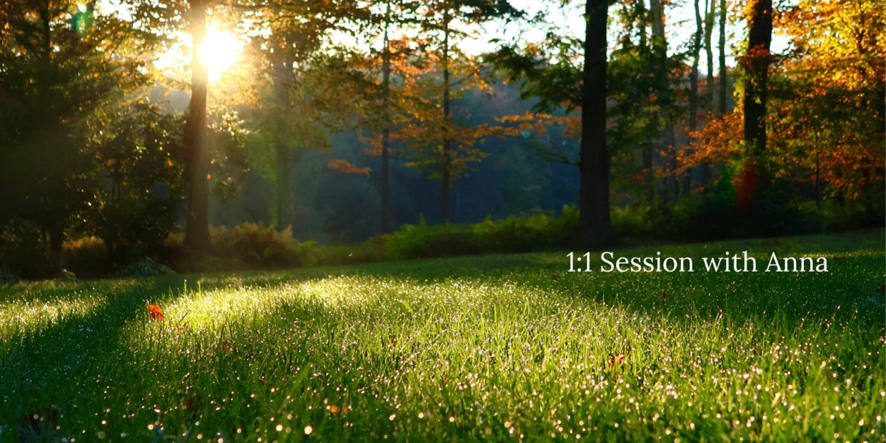 Sunlight shining through a forest clearing with text "1:1 Session with Anna".