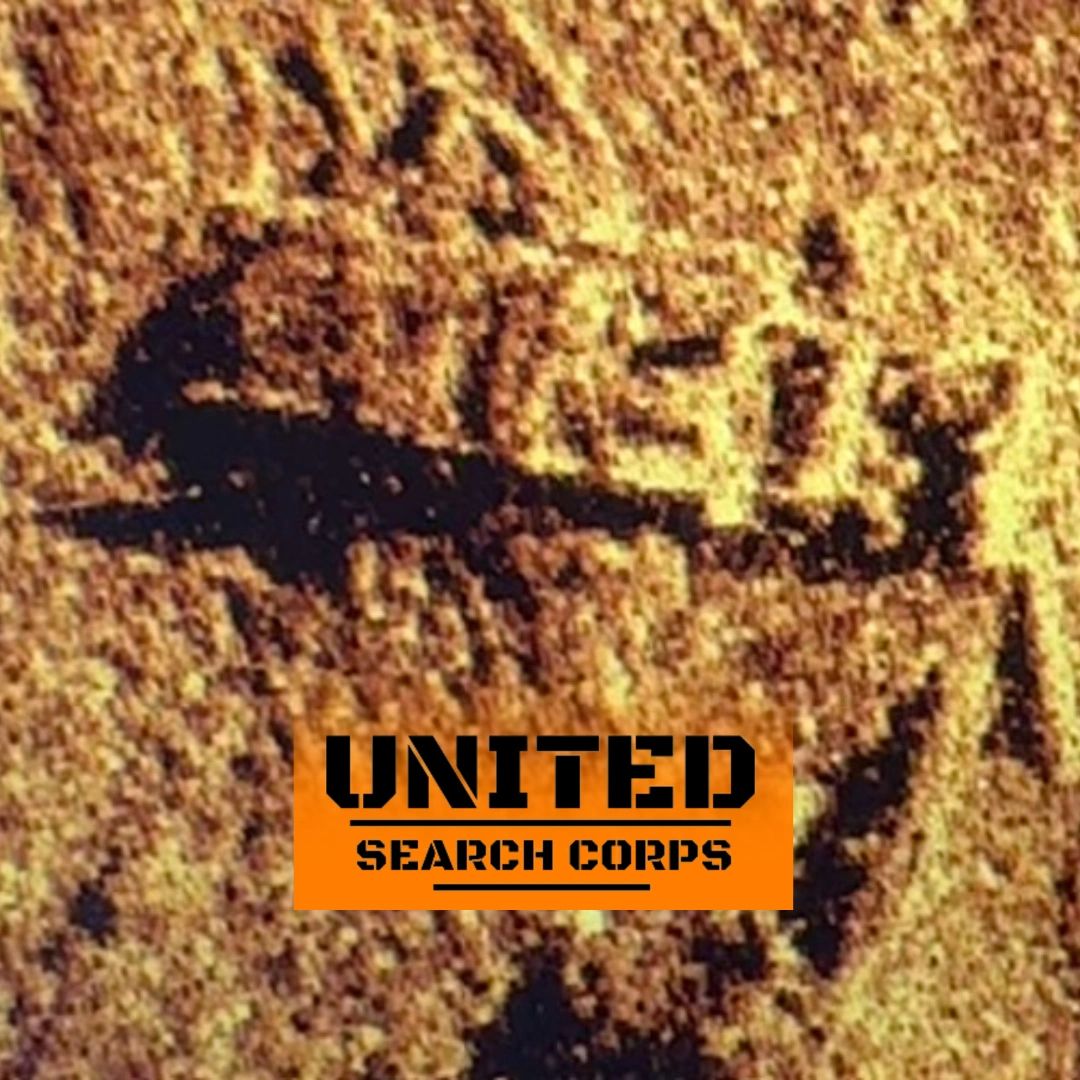 Sonar Image Of The Submerged 1974 Chevrolet Camaro