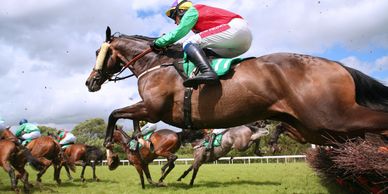 Horse Racing Hospitality