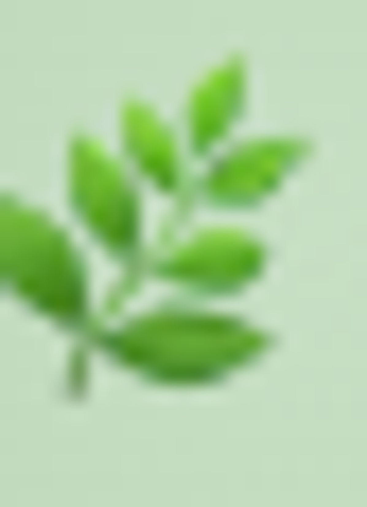 A blurred image of green leaves on a light green background.