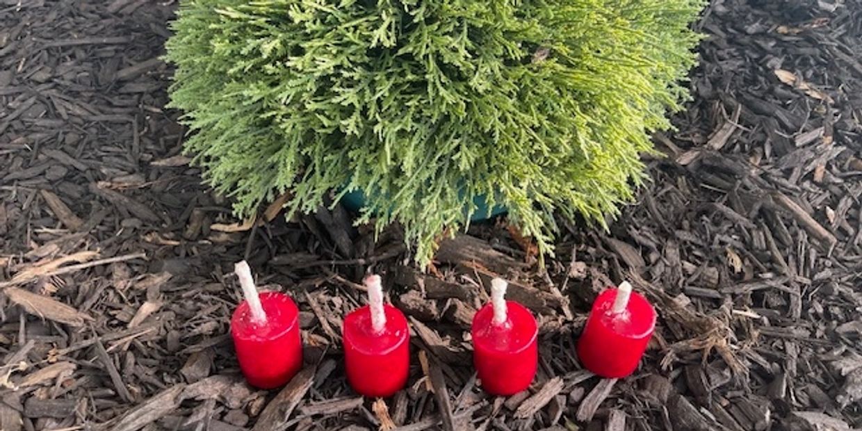 Swiss products are not just a sign of superior quality and attention to design, it's a way of life. 