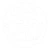 Firefly Embers