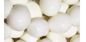 Buy Coturnix Quail Eating and Hatching Eggs Online