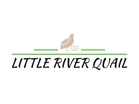 Little River Quail