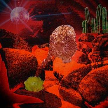 collage, jaguar, nature, jaguar energy, san pedro, psychedelic, cacti, yellow flower, desert, disco