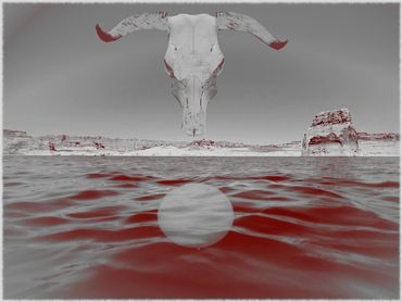 lake powell, lake, skull, cow skull, surreal, nature photography, arizona, desert, glen canyon