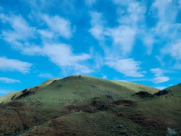 central oregon, oregon, rolling hills, high desert, landscape, photography, juniper