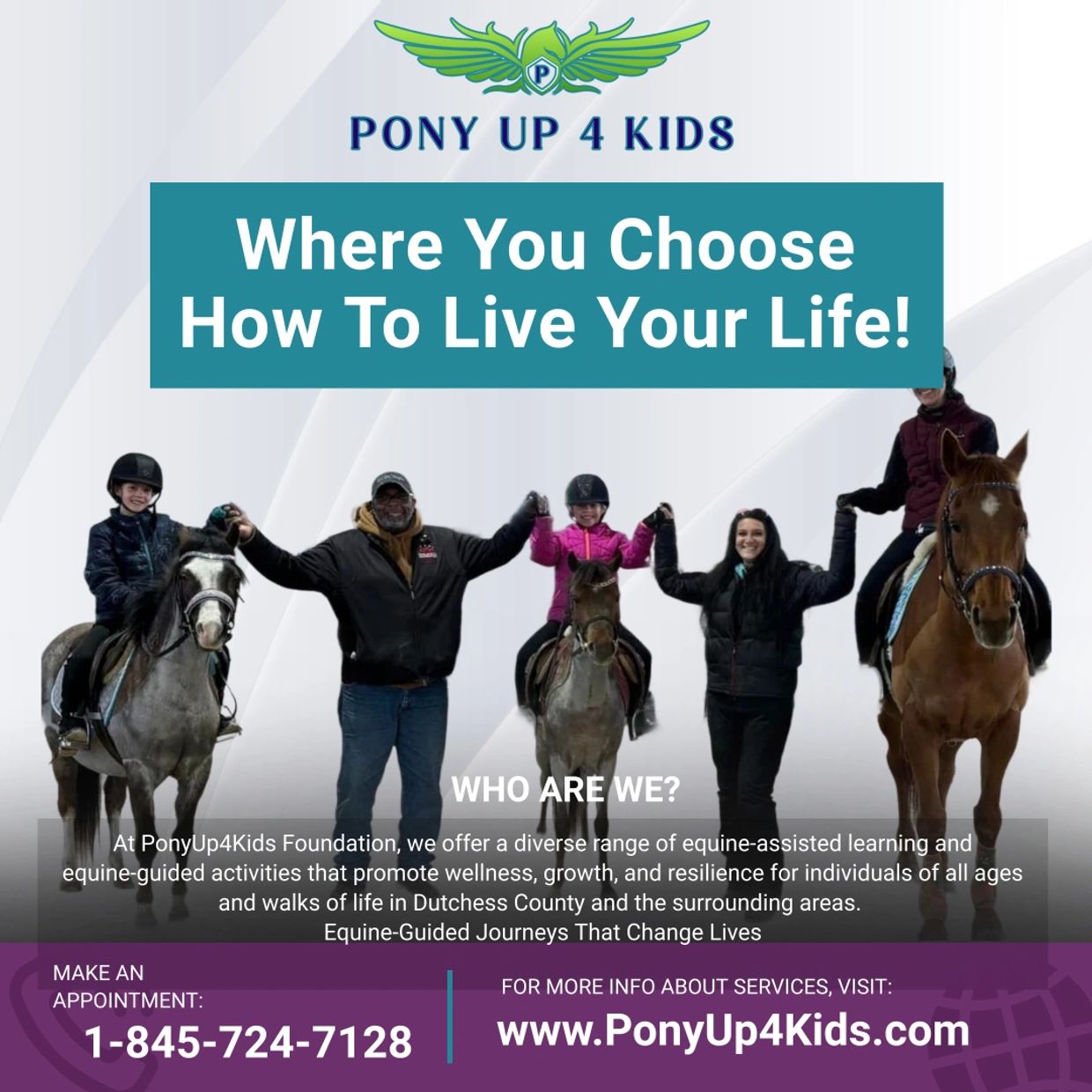 equine guided journey, equine assisted wellness