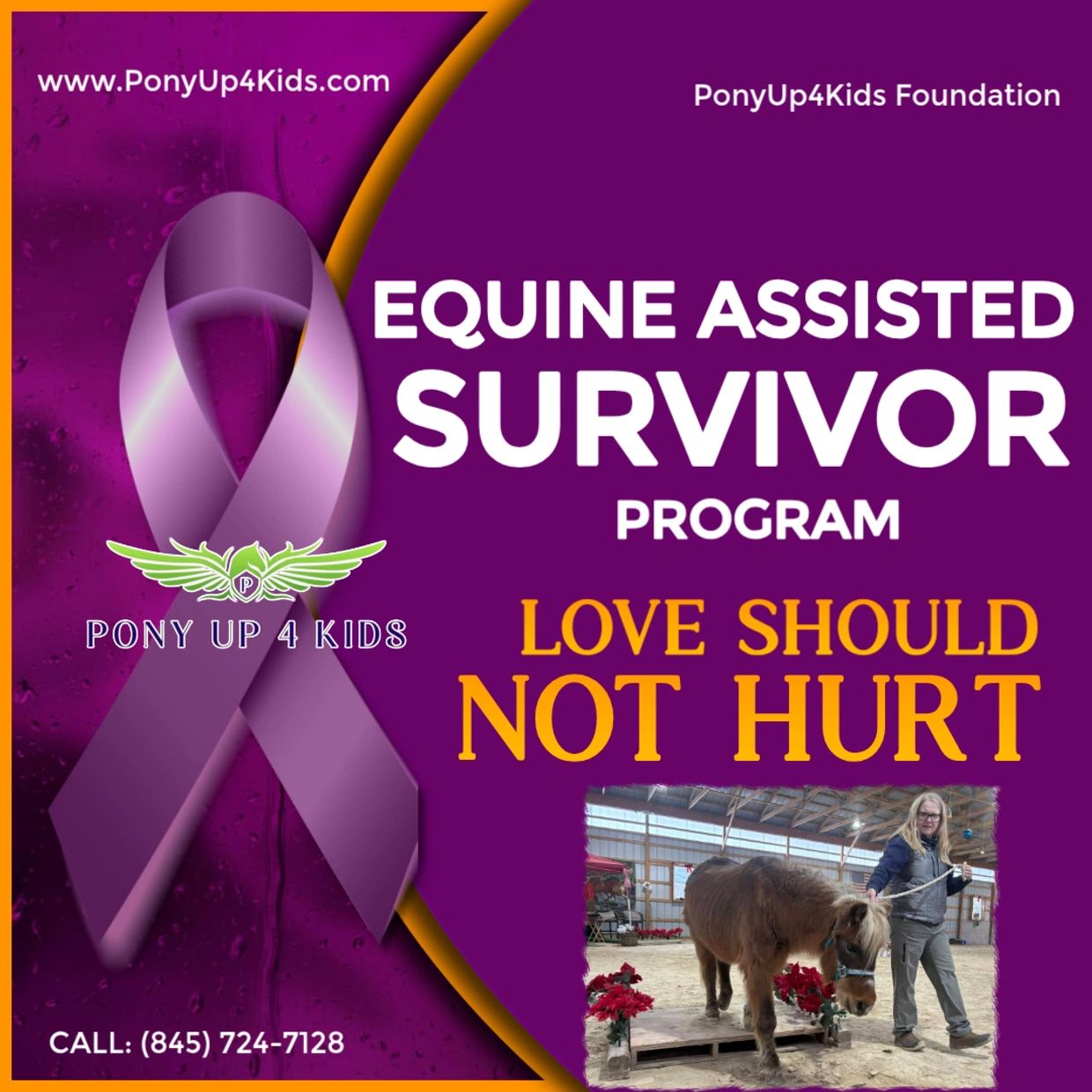 equine assisted survivors program, healing with horses, domestic violence, abuse, trauma