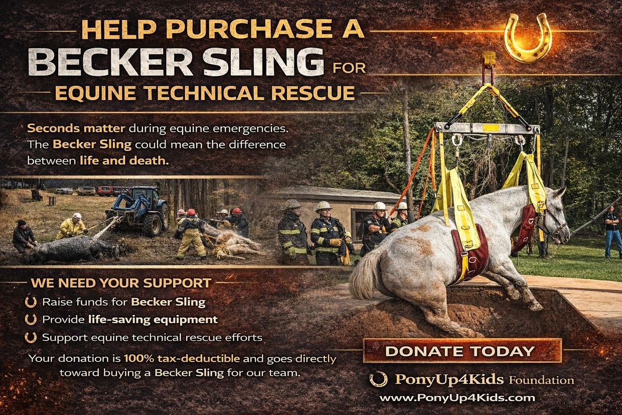 equine technical rescue, dutchess, putnam, westchester, county, ny, horse rescue, beck sling, horse