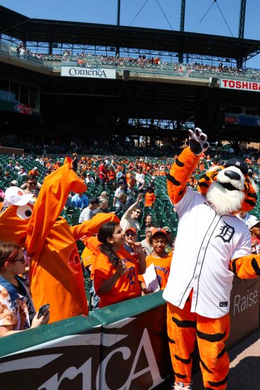 Detroit Tigers mascot interacts with fans at a baseball stadium.