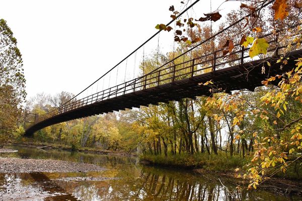 A swinging bridge over a river surrounded by trees