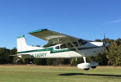 A small white and green single-engine airplane flying low over grass.