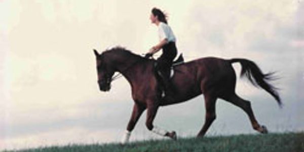 Although I don't support the lack of helmet, this 1992 photo represents my joy of riding.