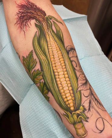 Sweet Corn Cob