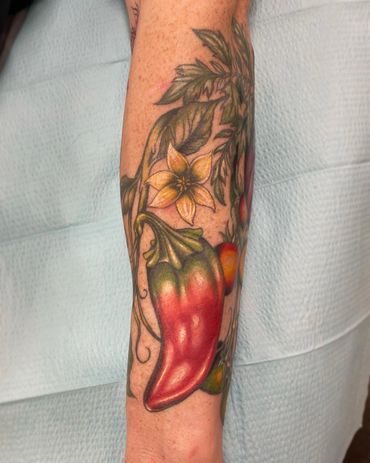 Jalapeño, Edible Plant Sleeve