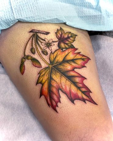 Maple Leaf