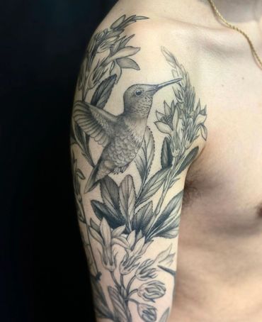 Hummingbird