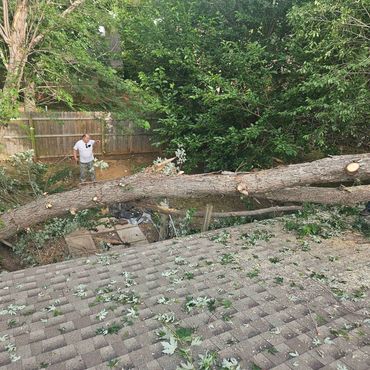 Large fallen tree being removed from a residential roof and backyard after storm damage in Oklahoma.