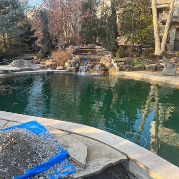 Backyard pool with natural stone waterfall and surrounding trees.