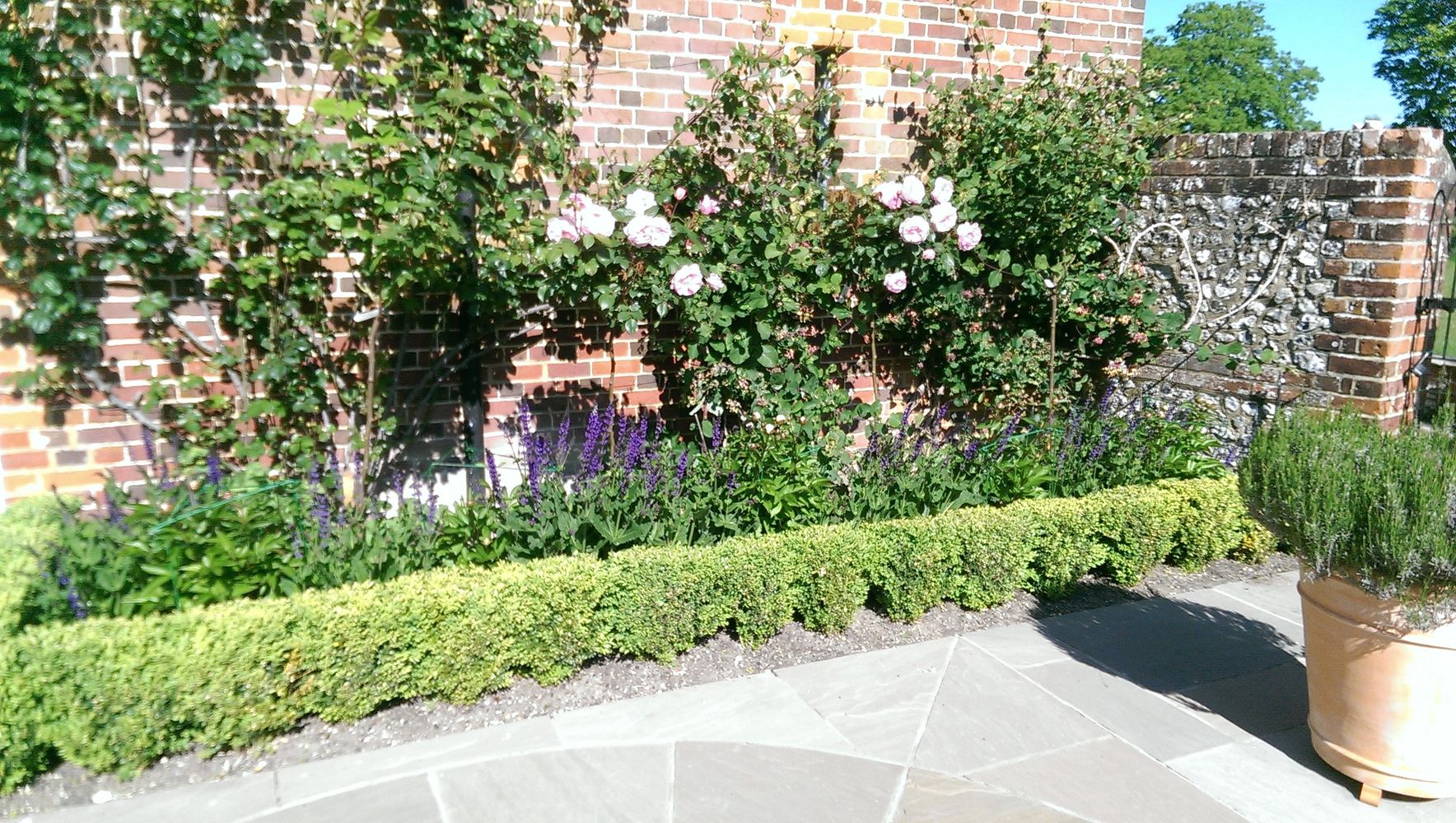 A neat garden bed with pink roses, purple flowers, and trimmed green hedges by a brick wall.